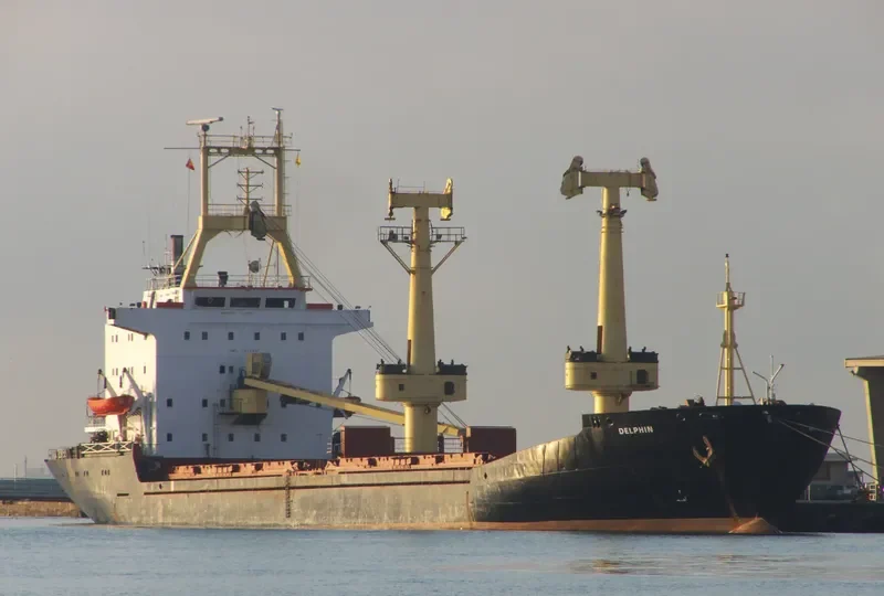 DELPHIN General Cargo IMO 7619331 photo 2