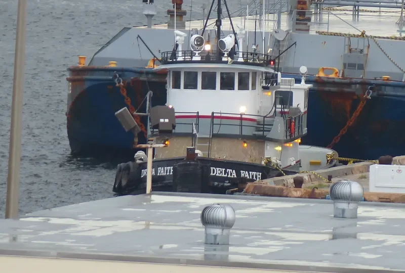 DELTA FAITH Tug Boat IMO 7619941 photo 3