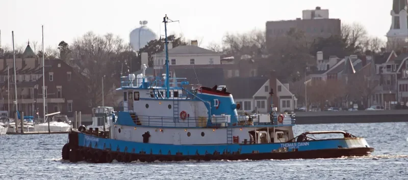 THOMAS DANN Tug Boat IMO 7621786 photo 2