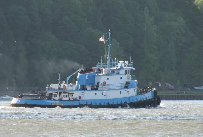THOMAS DANN Tug Boat IMO 7621786 photo 5