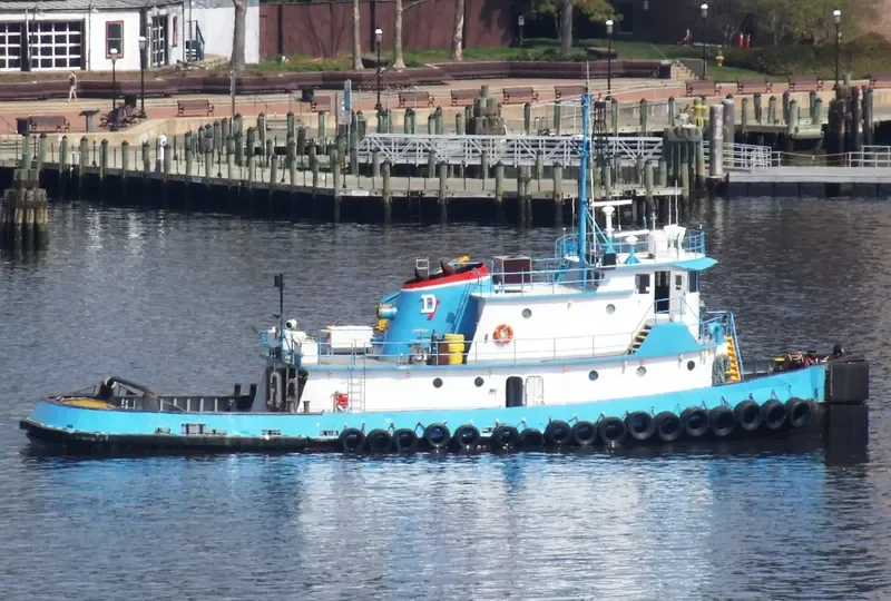 THOMAS DANN Tug Boat IMO 7621786 photo 8