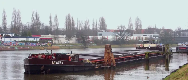 ATHENA Bulk Carrier IMO 7621920 photo 2