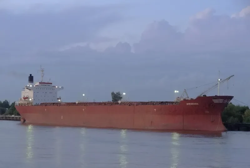 RICAN Bulk Carrier IMO 7621932 photo 7