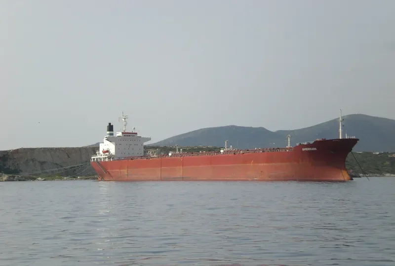 RICAN Bulk Carrier IMO 7621932 photo 9