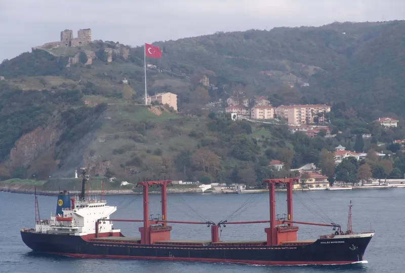 KHALED MUHIEDDINE Bulk Carrier IMO 7622261