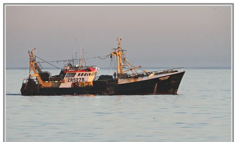AFRICAN QUEEN General Cargo IMO 7622429
