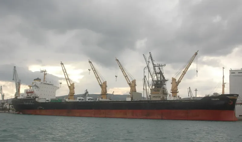 OCEANLINE I Bulk Carrier IMO 7622778 photo 2