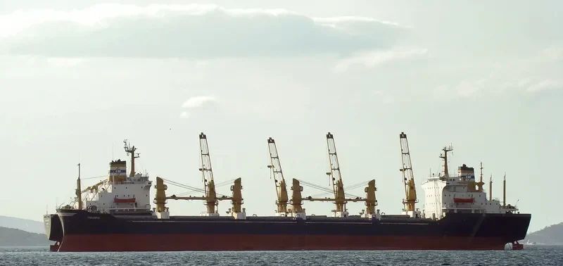 OCEANLINE I Bulk Carrier IMO 7622778 photo 3
