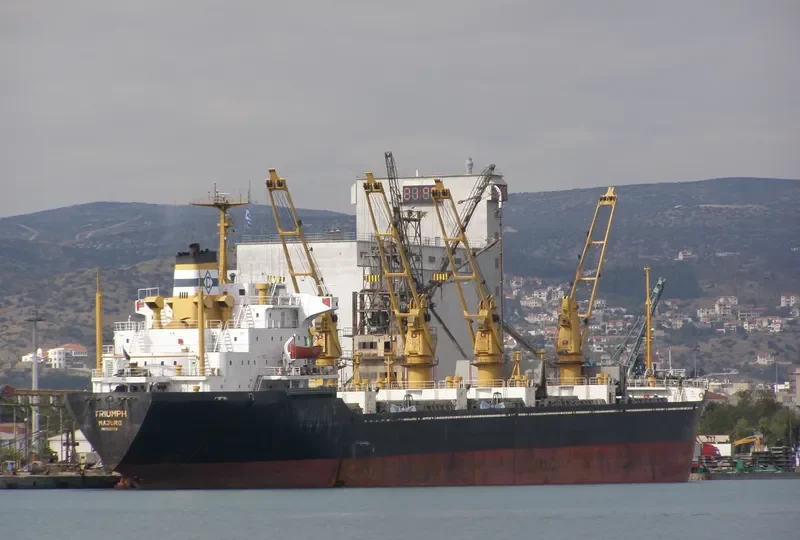 OCEANLINE I Bulk Carrier IMO 7622778 photo 8