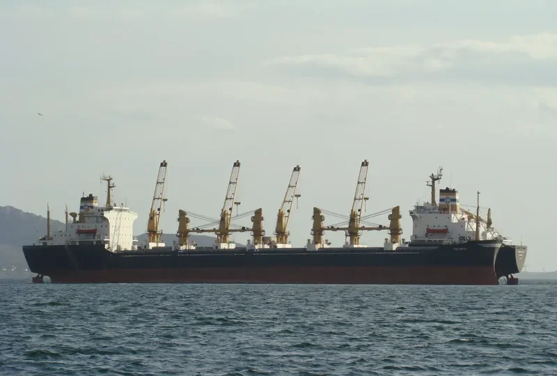 OCEANLINE I Bulk Carrier IMO 7622778 photo 10