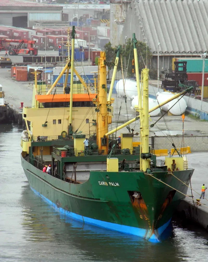 CARIB PALM General Cargo IMO 7623083 photo 4