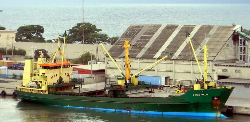 CARIB PALM General Cargo IMO 7623083 photo 6