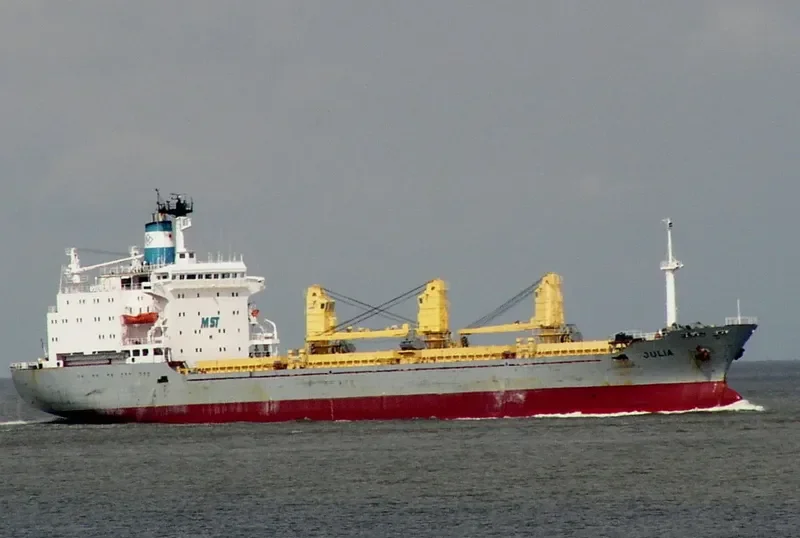 TARA 1 Bulk Carrier IMO 7623095 photo 4
