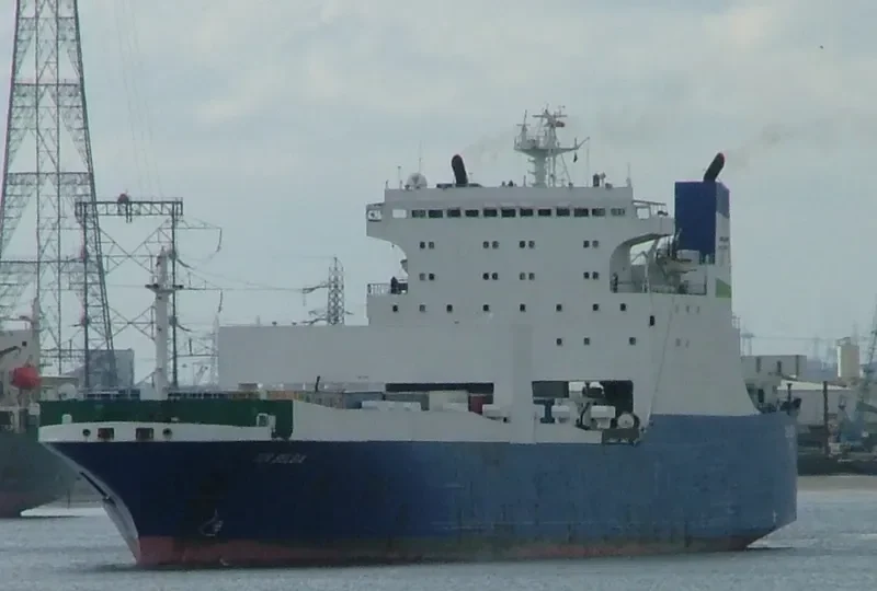DUBAI GATE Ro-Ro IMO 7624063 photo 3