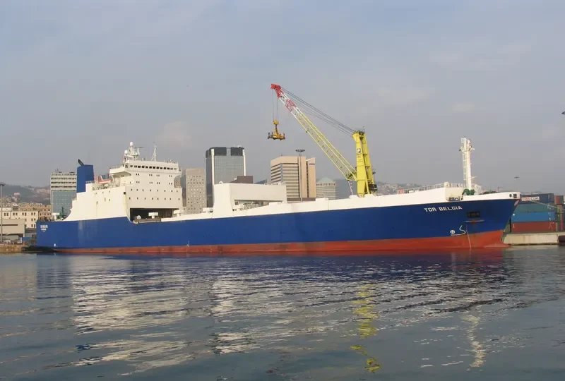 DUBAI GATE Ro-Ro IMO 7624063 photo 5