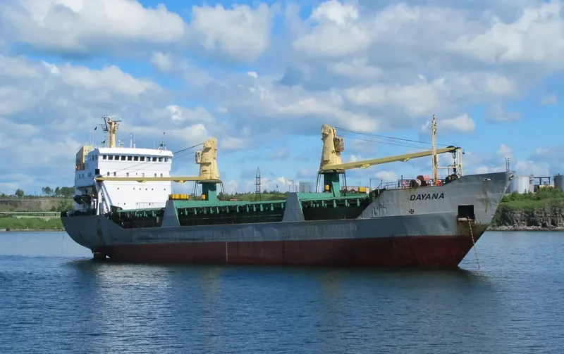 DAYANA General Cargo IMO 7624312