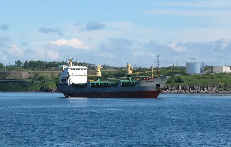 DAYANA General Cargo IMO 7624312 photo 2