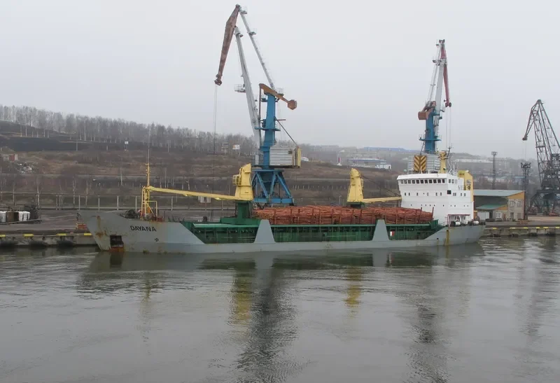 DAYANA General Cargo IMO 7624312 photo 3