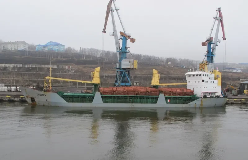 DAYANA General Cargo IMO 7624312 photo 4