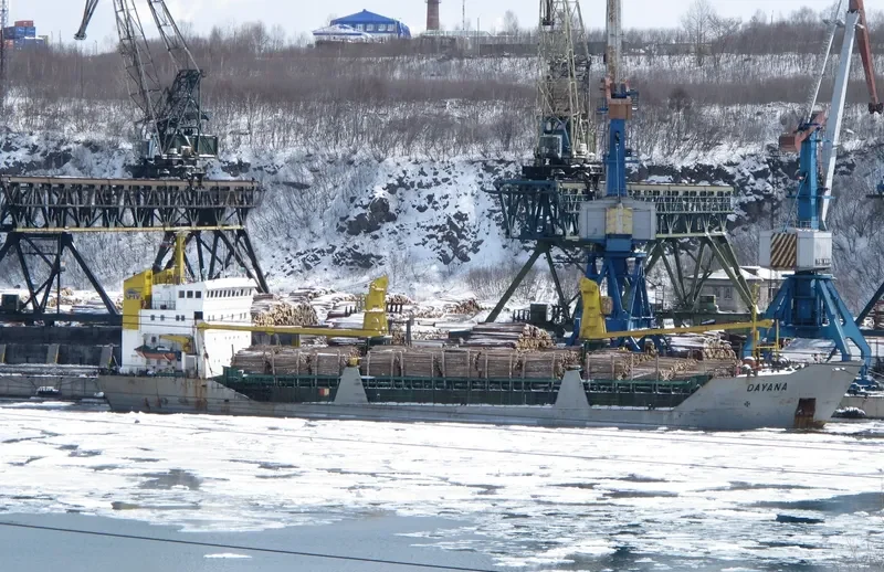 DAYANA General Cargo IMO 7624312 photo 7