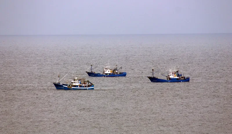 GUADALUPECO AMA Fishing Vessel IMO 7624946 photo 2