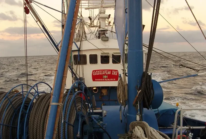 GUADALUPECO AMA Fishing Vessel IMO 7624946 photo 6