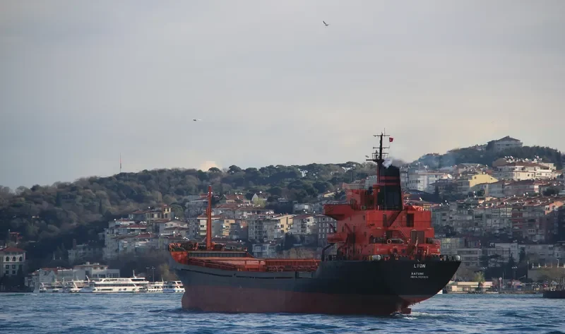 LYON General Cargo IMO 7625029 photo 3