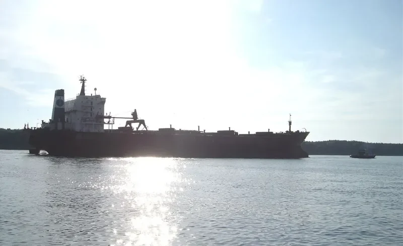 UNFAIR LADY Bulk Carrier IMO 7625055
