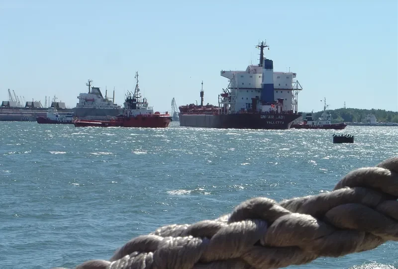 UNFAIR LADY Bulk Carrier IMO 7625055 photo 3