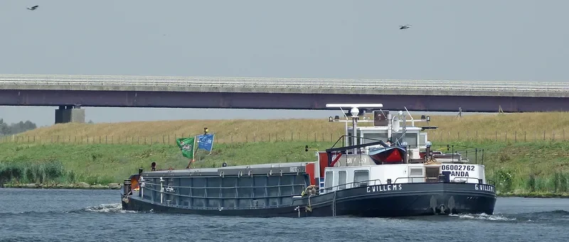 PANDA General Cargo IMO 7625287