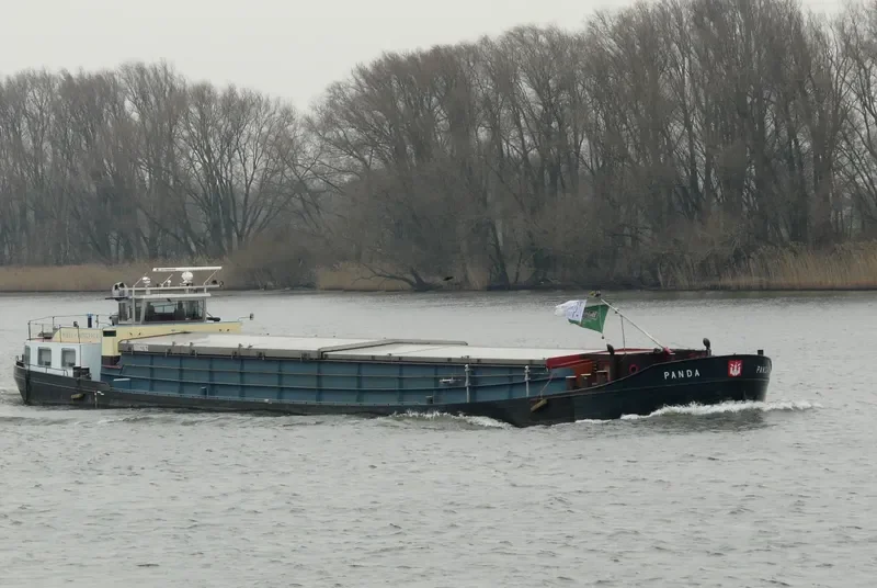PANDA General Cargo IMO 7625287 photo 5