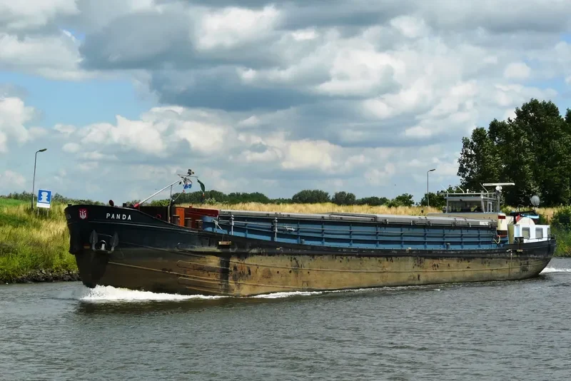 PANDA General Cargo IMO 7625287 photo 8
