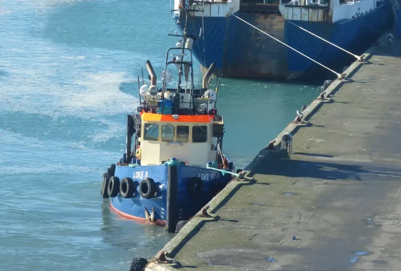 LOKE R Tug Boat IMO 7625433 photo 8