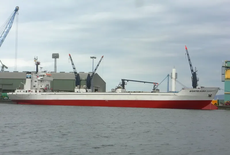 MONTELAURA General Cargo IMO 7625500 photo 2