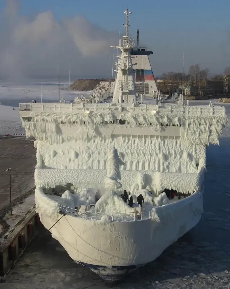 GEORG OTS Ro-Ro IMO 7625835 photo 9