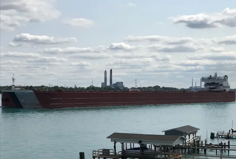 EDGAR B.SPEER Bulk Carrier IMO 7625952 photo 5