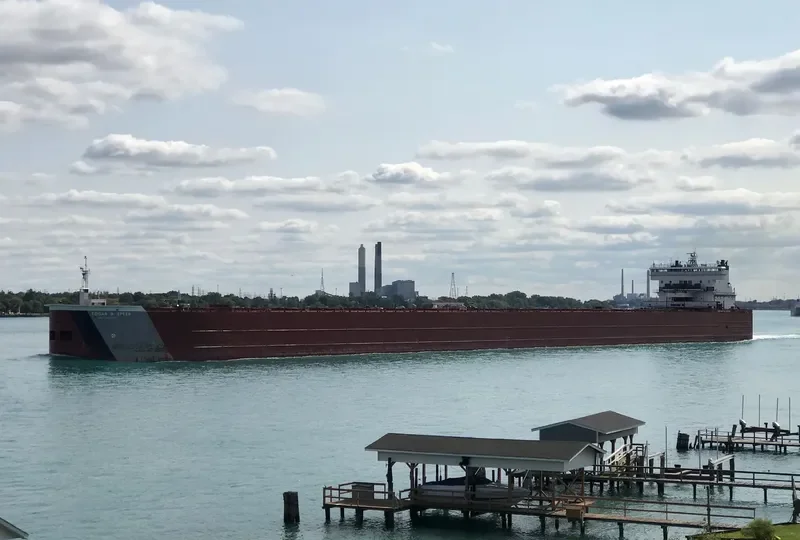 EDGAR B.SPEER Bulk Carrier IMO 7625952 photo 6