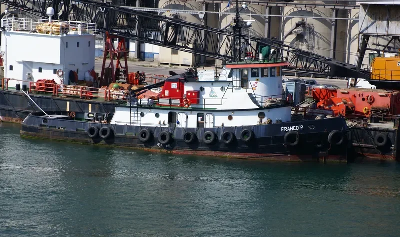 FRANCO P Tug Boat IMO 7625976 photo 2