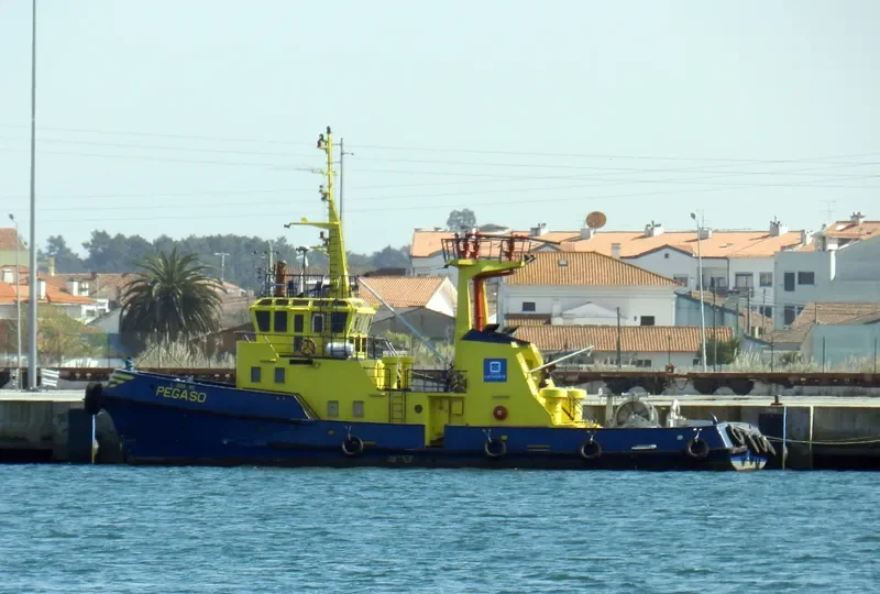 PEGASO Tug Boat IMO 7626073