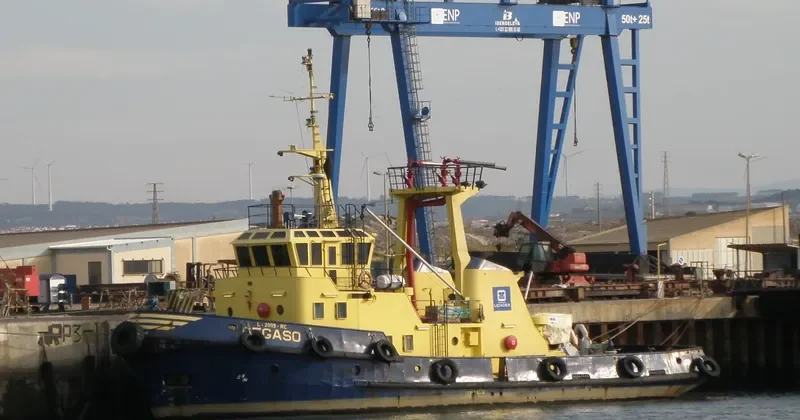 PEGASO Tug Boat IMO 7626073 photo 2