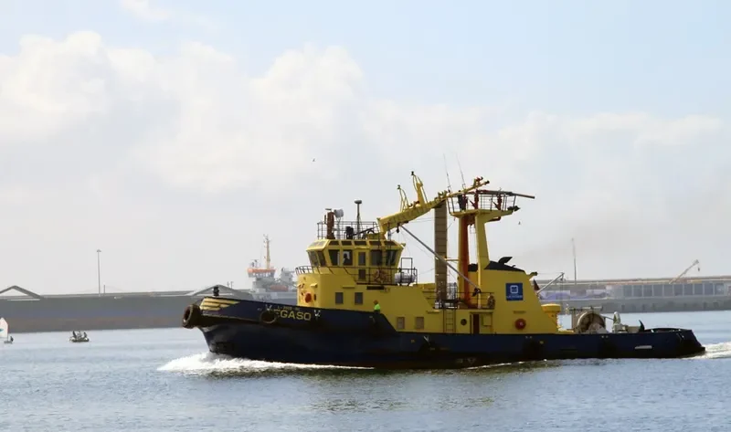 PEGASO Tug Boat IMO 7626073 photo 5