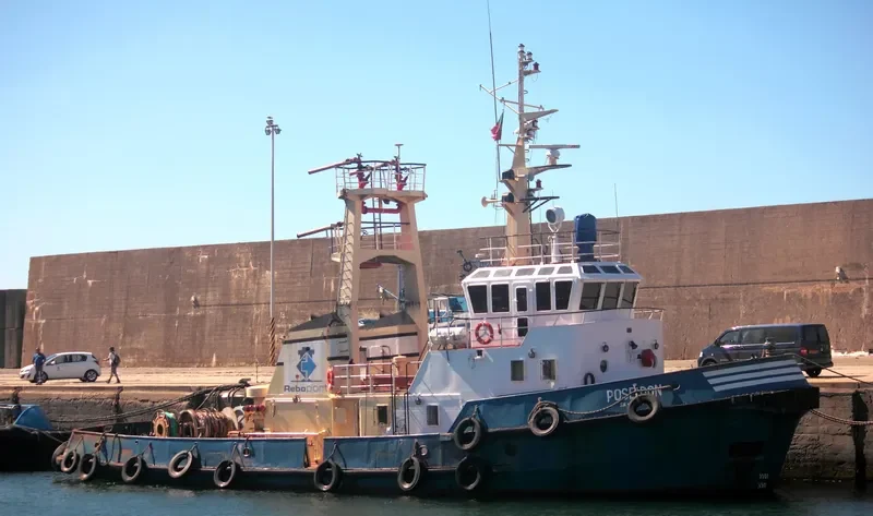 POSEIDON Tug Boat IMO 7626085 photo 4