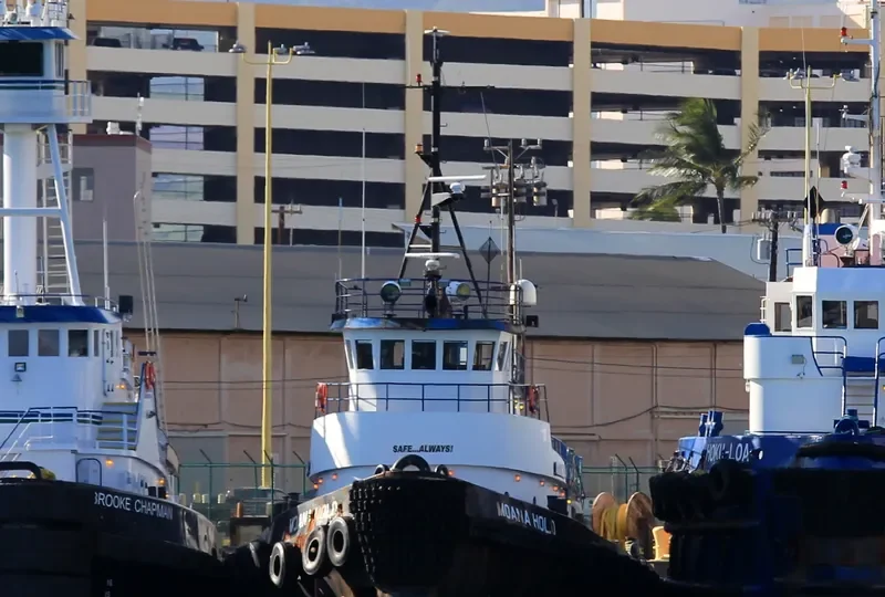 MOANA HOLO General Cargo IMO 7626205 photo 8