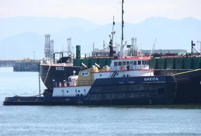 NAKOA General Cargo IMO 7626231 photo 10