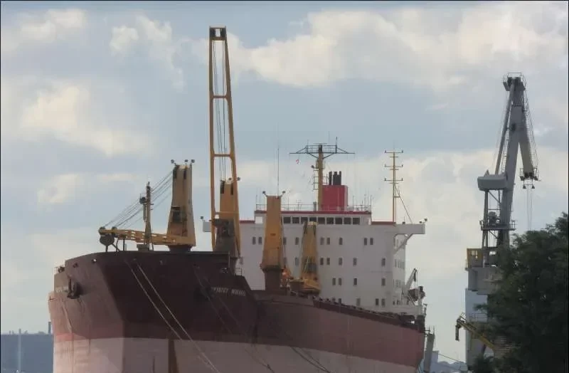 SVYATOY MIKHAIL Bulk Carrier IMO 7626384 photo 5