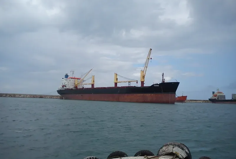 TRANSMED Bulk Carrier IMO 7626396