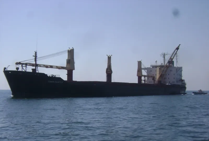 TRANSMED Bulk Carrier IMO 7626396 photo 6