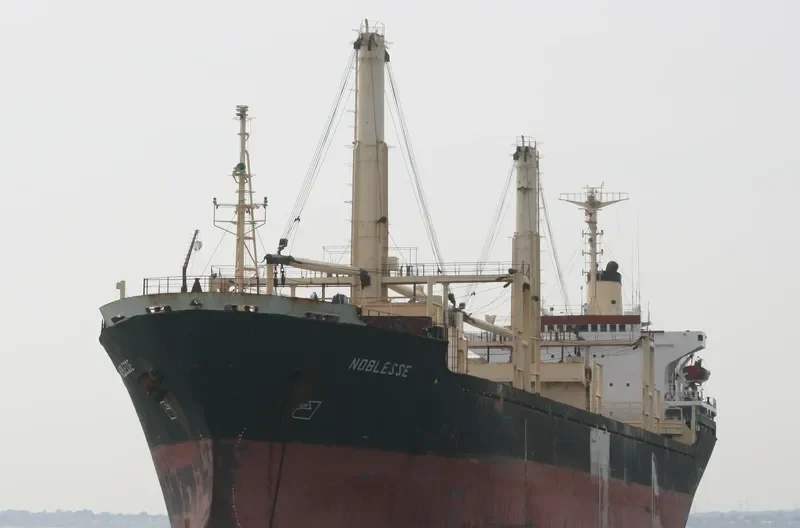 NOBLESSE Bulk Carrier IMO 7626499 photo 2