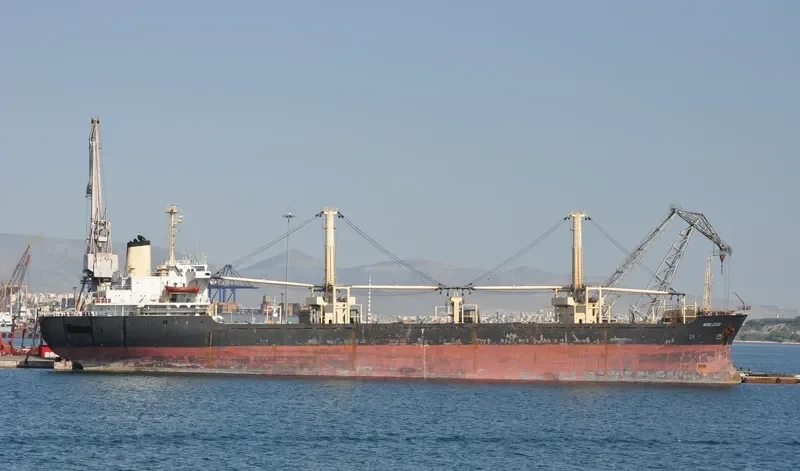 NOBLESSE Bulk Carrier IMO 7626499 photo 4