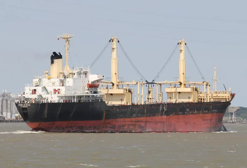 NOBLESSE Bulk Carrier IMO 7626499 photo 7